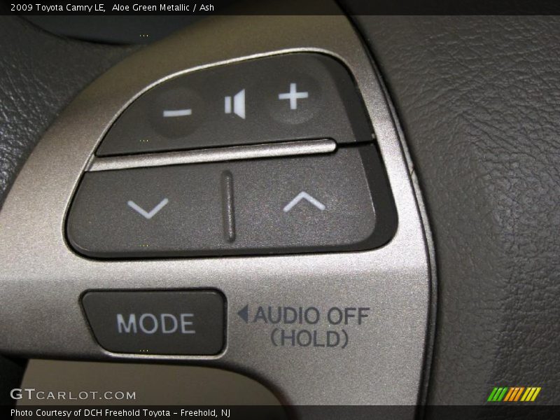 Aloe Green Metallic / Ash 2009 Toyota Camry LE