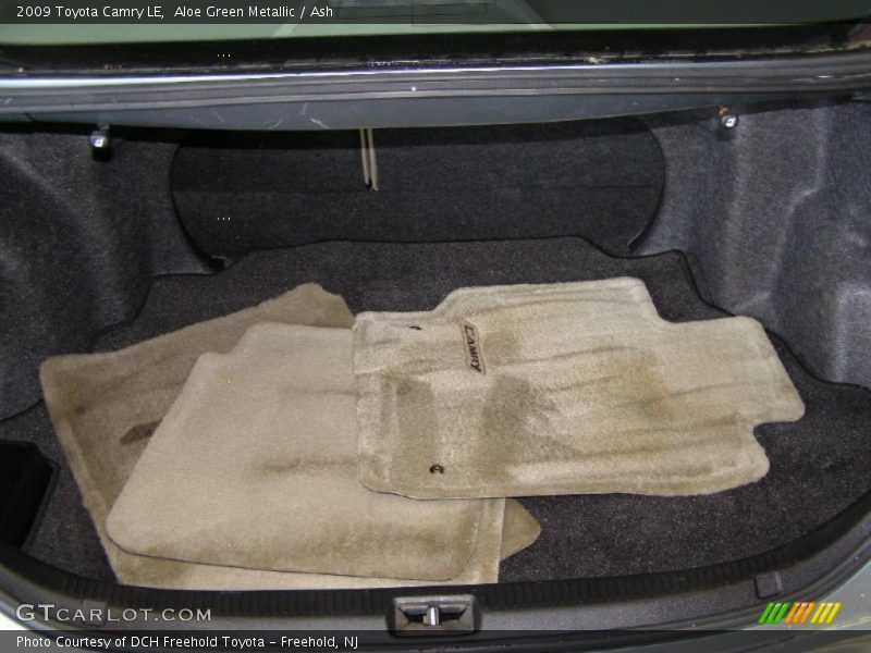 Aloe Green Metallic / Ash 2009 Toyota Camry LE