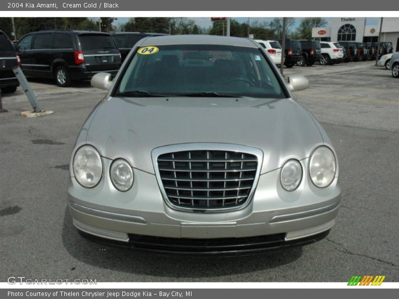 Cream Gold / Black 2004 Kia Amanti
