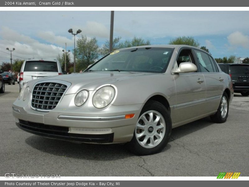 Cream Gold / Black 2004 Kia Amanti