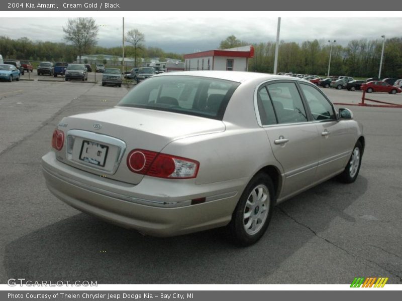 Cream Gold / Black 2004 Kia Amanti