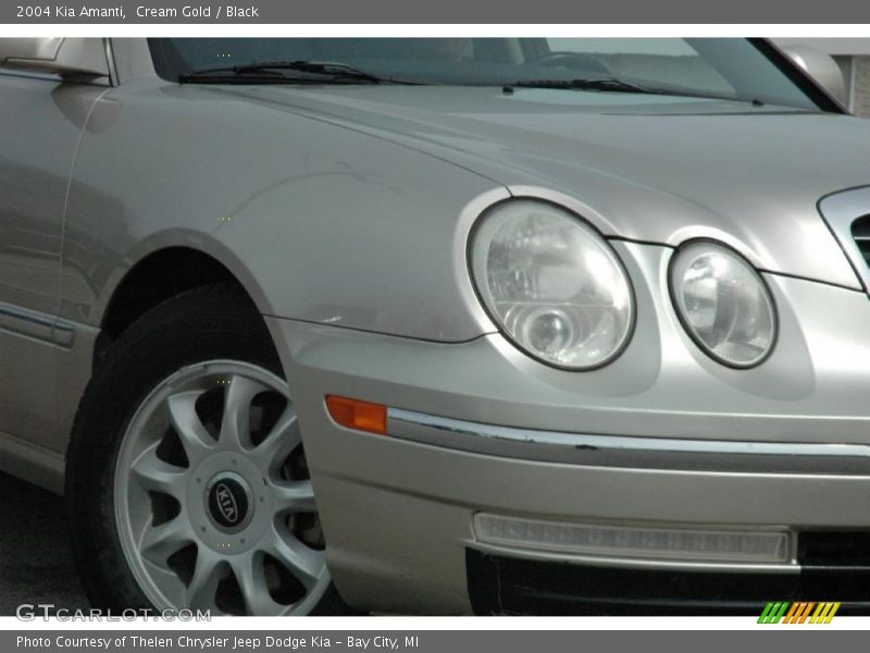 Cream Gold / Black 2004 Kia Amanti