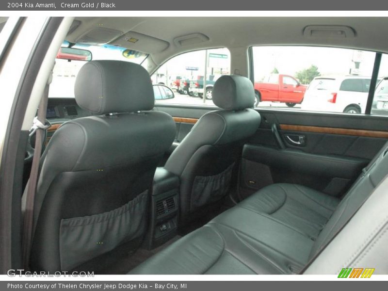 Cream Gold / Black 2004 Kia Amanti