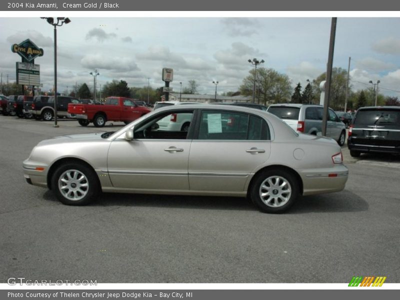 Cream Gold / Black 2004 Kia Amanti