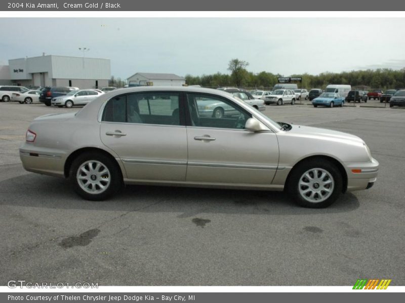 Cream Gold / Black 2004 Kia Amanti
