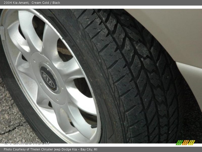 Cream Gold / Black 2004 Kia Amanti