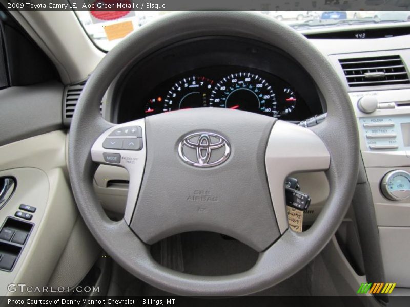 Aloe Green Metallic / Bisque 2009 Toyota Camry LE