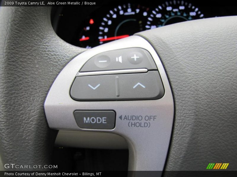 Aloe Green Metallic / Bisque 2009 Toyota Camry LE