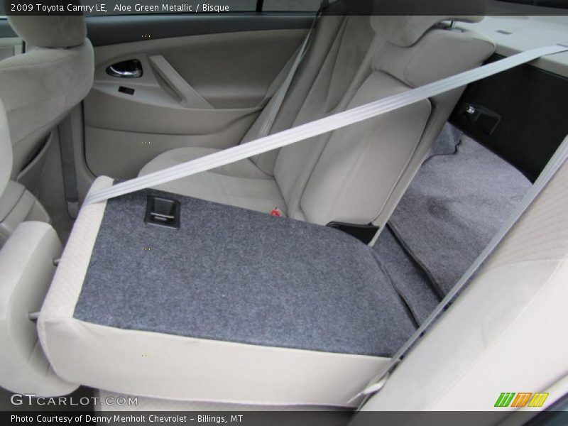 Aloe Green Metallic / Bisque 2009 Toyota Camry LE