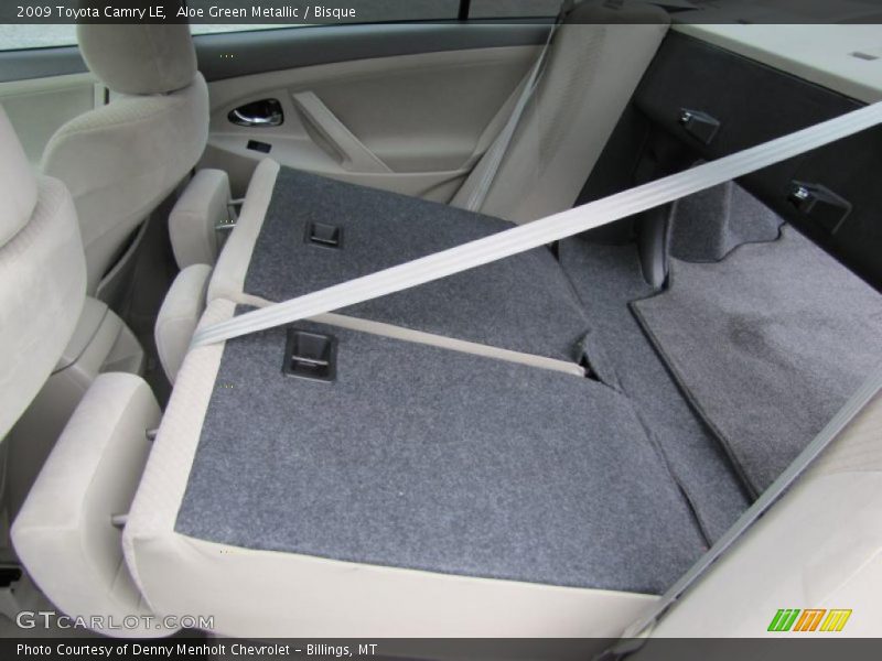 Aloe Green Metallic / Bisque 2009 Toyota Camry LE