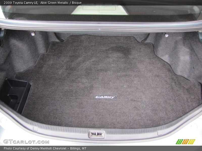 Aloe Green Metallic / Bisque 2009 Toyota Camry LE