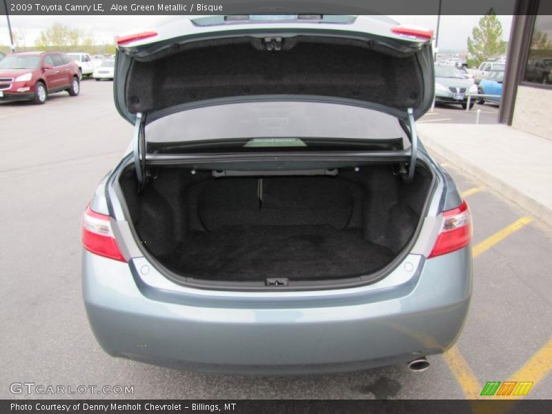 Aloe Green Metallic / Bisque 2009 Toyota Camry LE