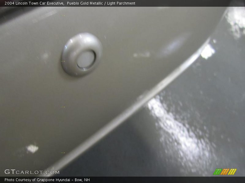 Pueblo Gold Metallic / Light Parchment 2004 Lincoln Town Car Executive