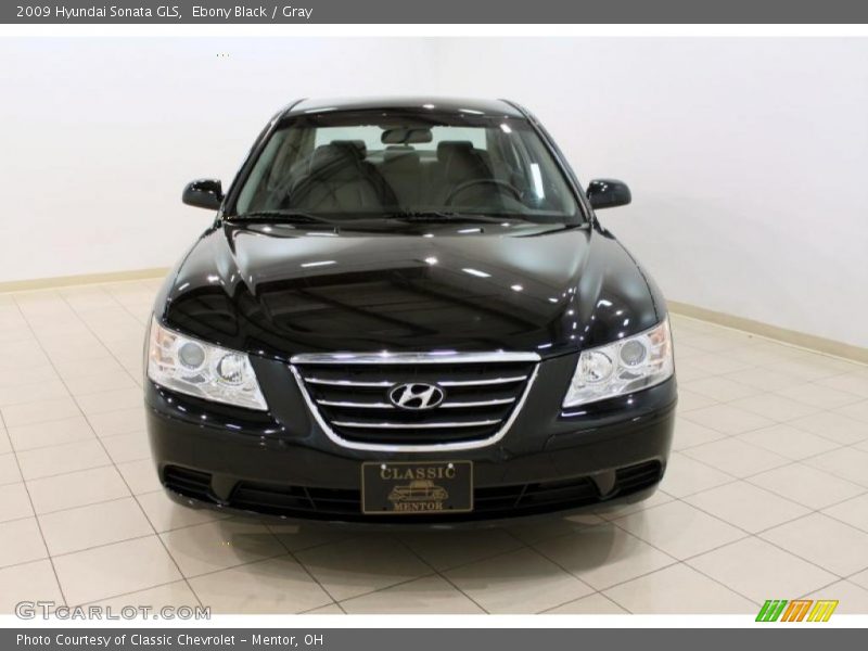 Ebony Black / Gray 2009 Hyundai Sonata GLS