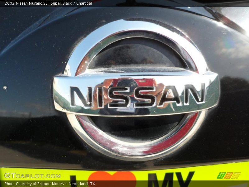 Super Black / Charcoal 2003 Nissan Murano SL