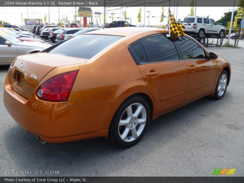 Radiant Ember / Black 2004 Nissan Maxima 3.5 SE
