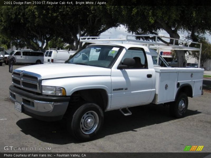 Bright White / Agate 2001 Dodge Ram 2500 ST Regular Cab 4x4