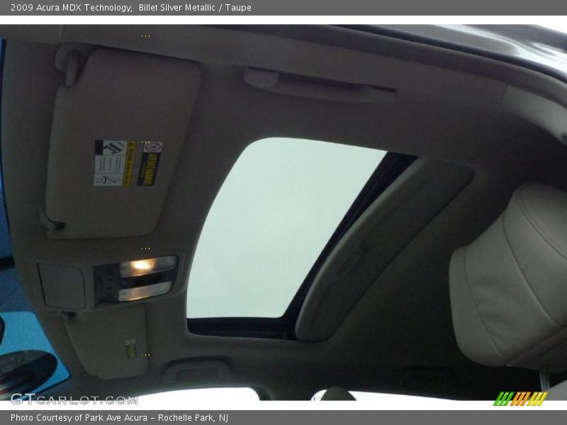 Billet Silver Metallic / Taupe 2009 Acura MDX Technology