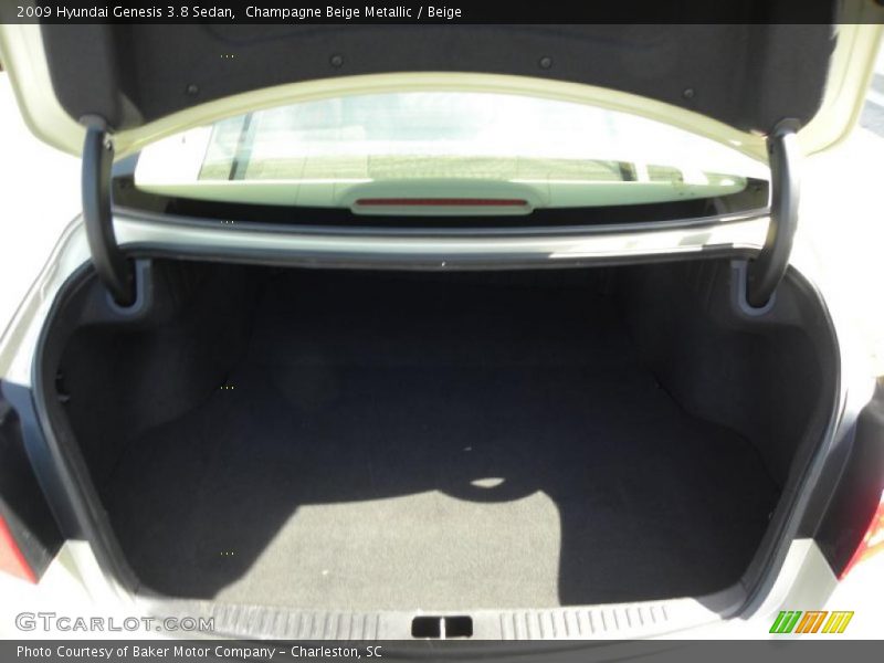 Champagne Beige Metallic / Beige 2009 Hyundai Genesis 3.8 Sedan