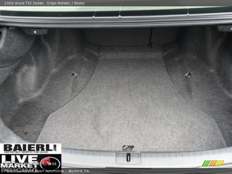 Grigio Metallic / Ebony 2009 Acura TSX Sedan