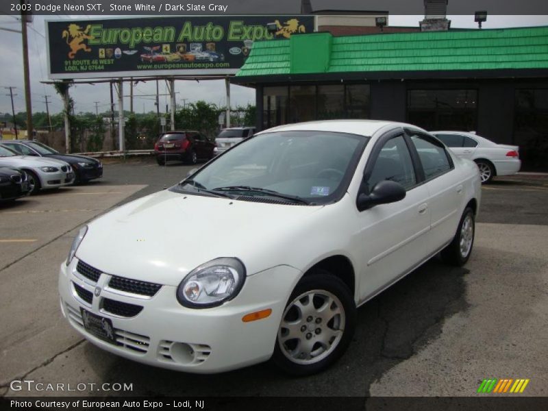 Stone White / Dark Slate Gray 2003 Dodge Neon SXT