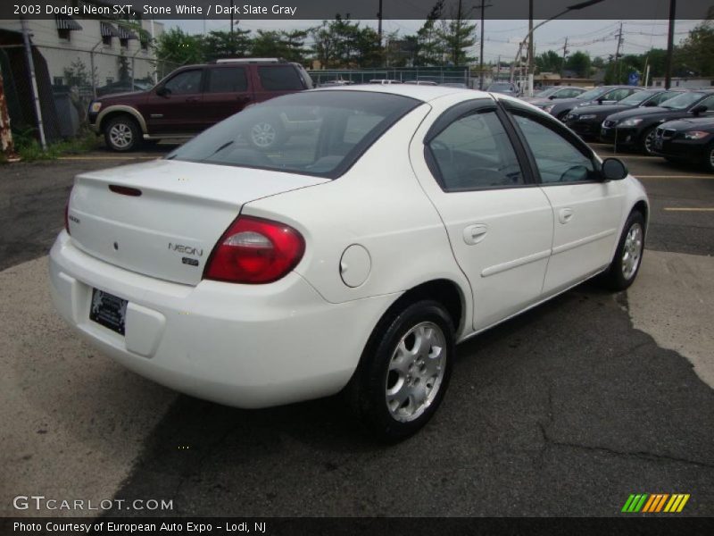 Stone White / Dark Slate Gray 2003 Dodge Neon SXT