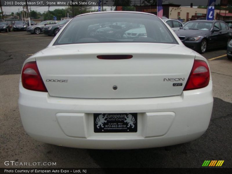 Stone White / Dark Slate Gray 2003 Dodge Neon SXT