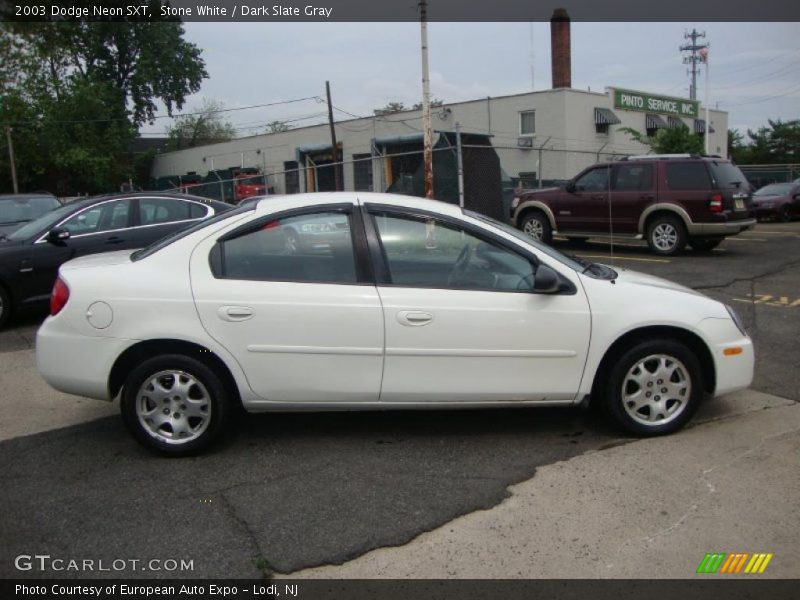 Stone White / Dark Slate Gray 2003 Dodge Neon SXT
