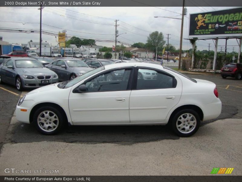Stone White / Dark Slate Gray 2003 Dodge Neon SXT