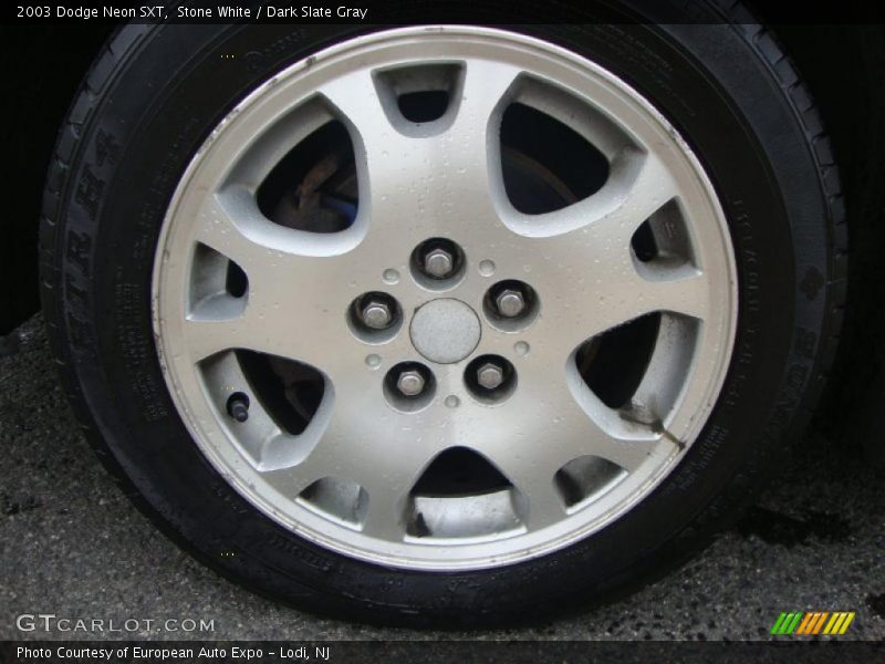 Stone White / Dark Slate Gray 2003 Dodge Neon SXT