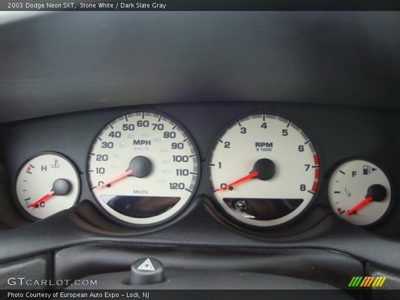 Stone White / Dark Slate Gray 2003 Dodge Neon SXT