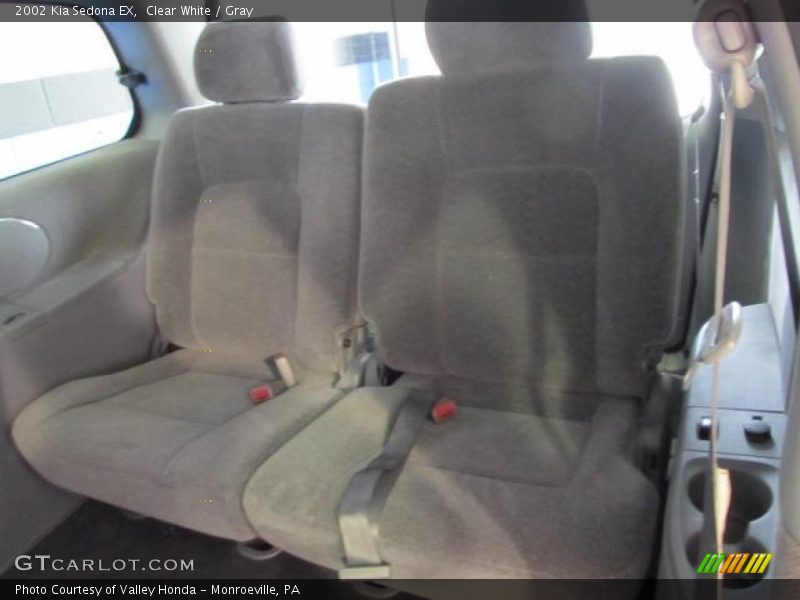 Clear White / Gray 2002 Kia Sedona EX