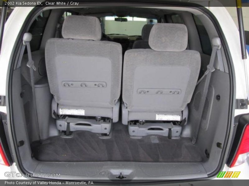 Clear White / Gray 2002 Kia Sedona EX