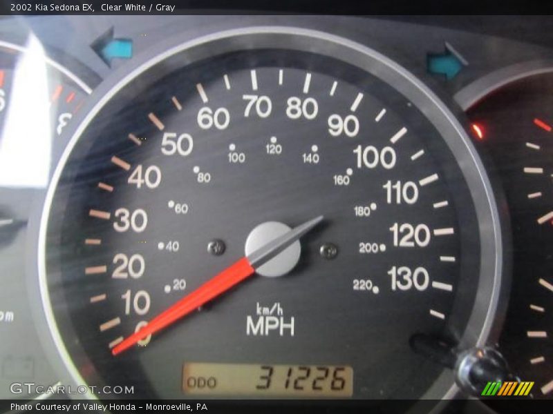 Clear White / Gray 2002 Kia Sedona EX