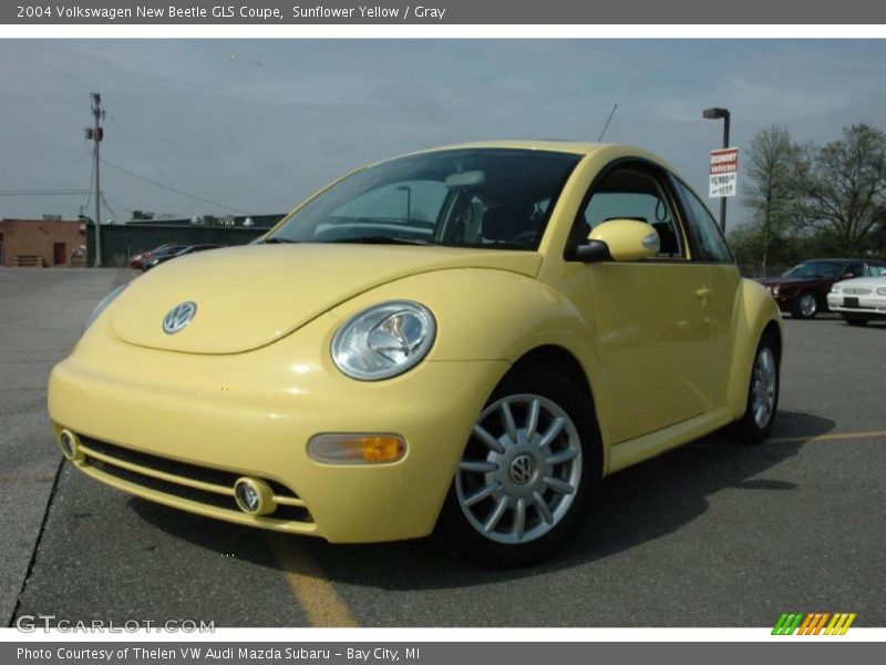 Front 3/4 View of 2004 New Beetle GLS Coupe