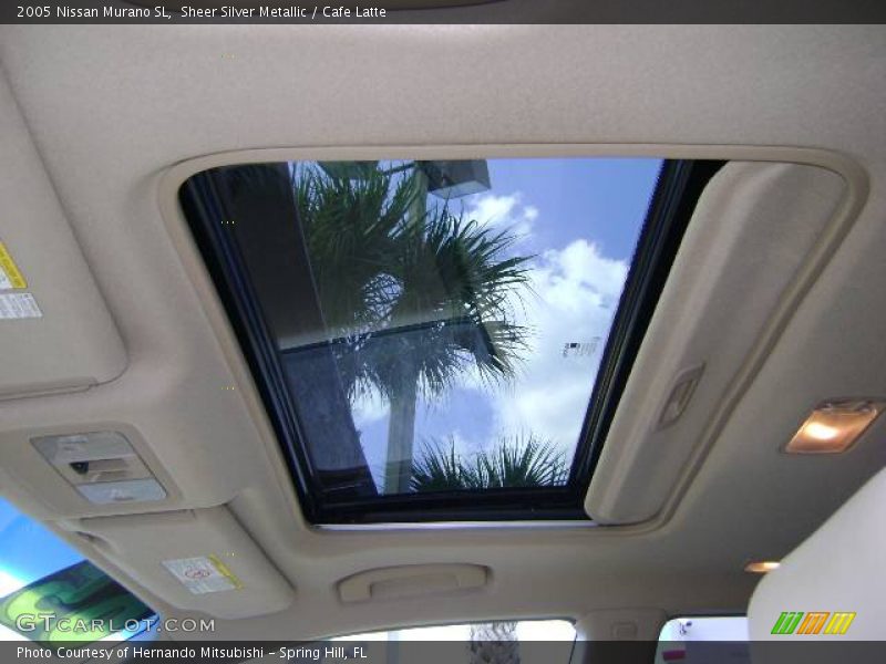 Sheer Silver Metallic / Cafe Latte 2005 Nissan Murano SL