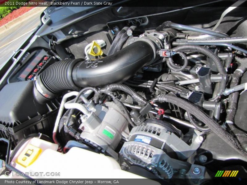 Blackberry Pearl / Dark Slate Gray 2011 Dodge Nitro Heat