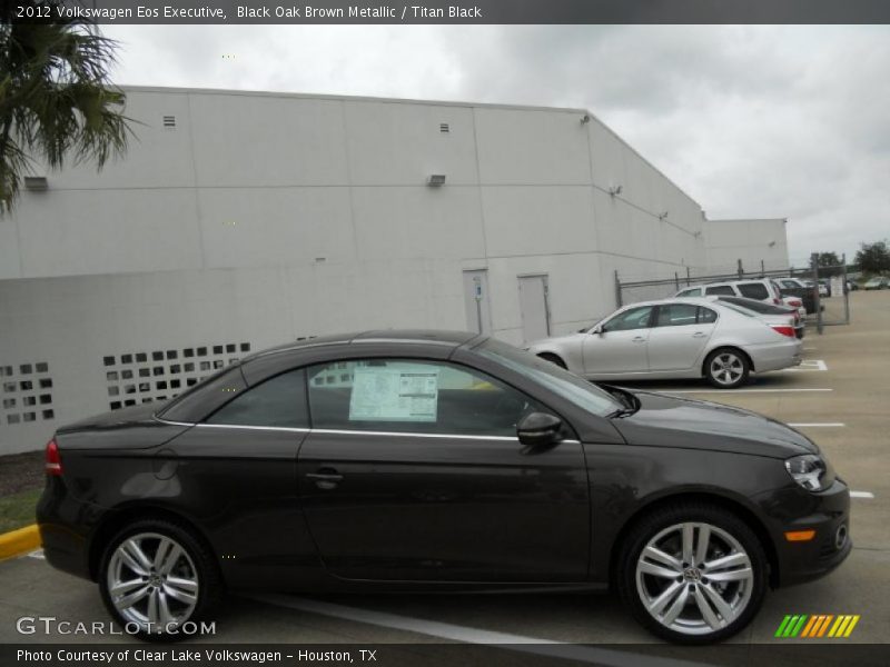 Black Oak Brown Metallic / Titan Black 2012 Volkswagen Eos Executive