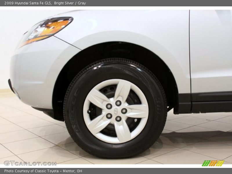 Bright Silver / Gray 2009 Hyundai Santa Fe GLS