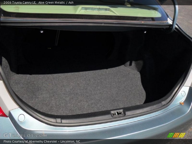 Aloe Green Metallic / Ash 2009 Toyota Camry LE