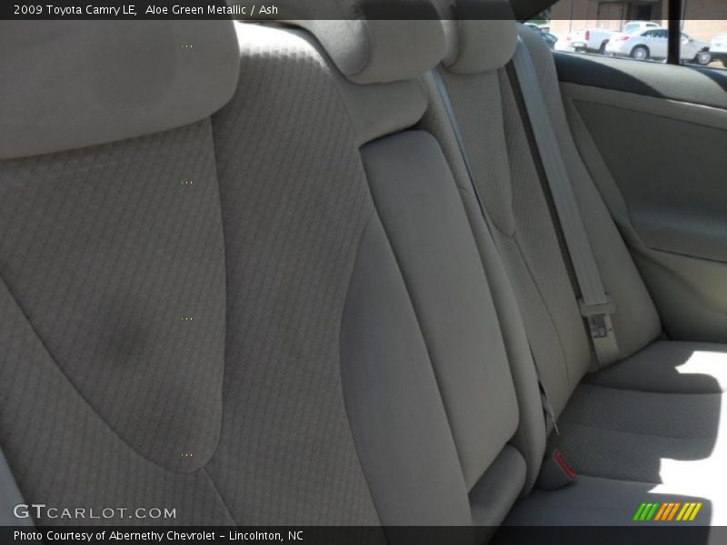 Aloe Green Metallic / Ash 2009 Toyota Camry LE