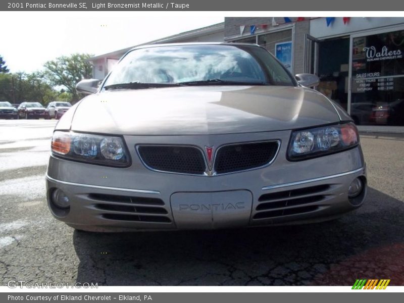 Light Bronzemist Metallic / Taupe 2001 Pontiac Bonneville SE