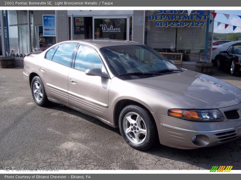 Light Bronzemist Metallic / Taupe 2001 Pontiac Bonneville SE