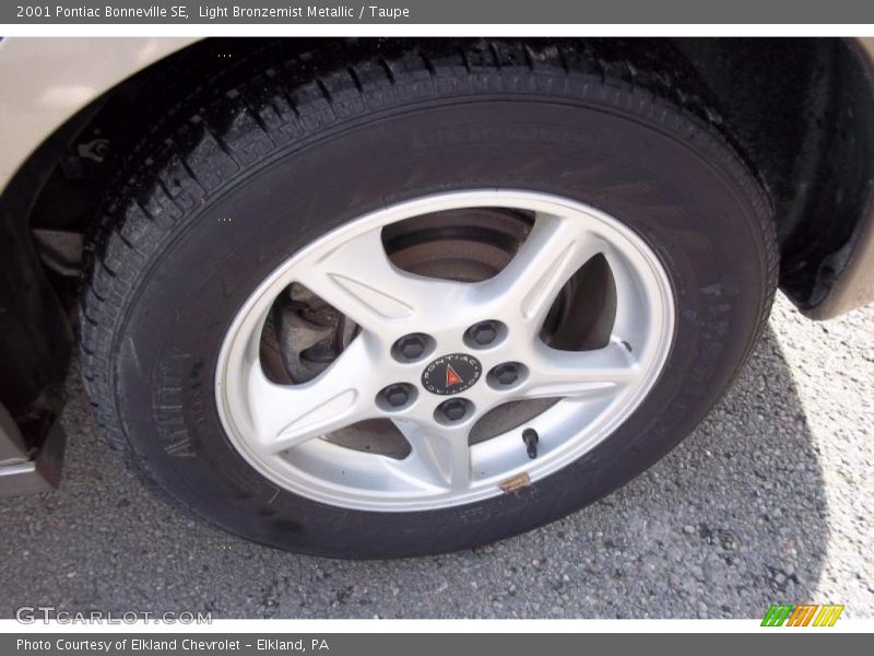 Light Bronzemist Metallic / Taupe 2001 Pontiac Bonneville SE