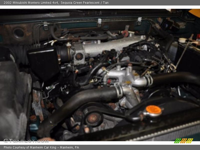 Sequoia Green Pearlescent / Tan 2002 Mitsubishi Montero Limited 4x4