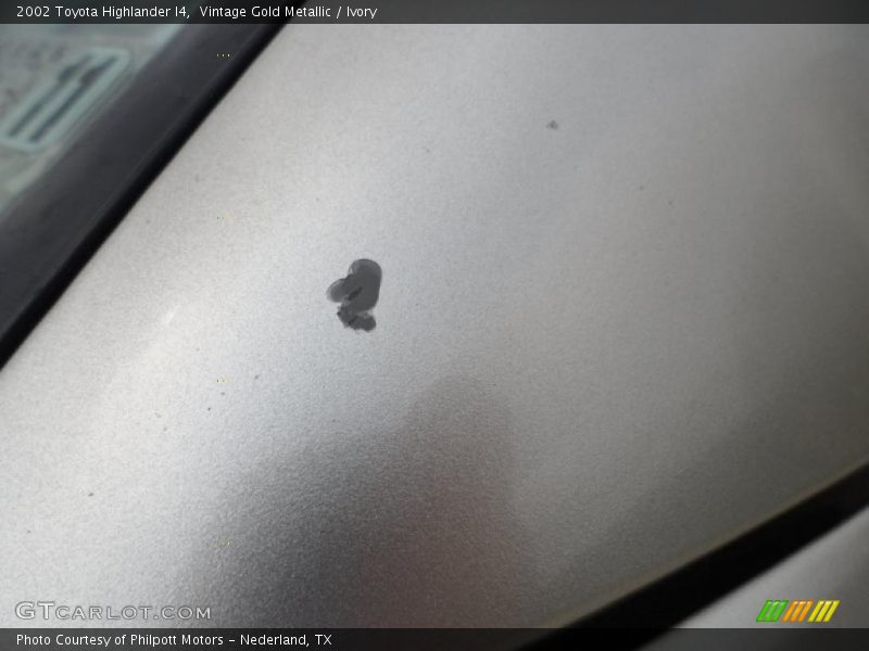Vintage Gold Metallic / Ivory 2002 Toyota Highlander I4
