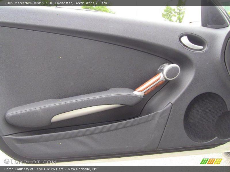Door Panel of 2009 SLK 300 Roadster