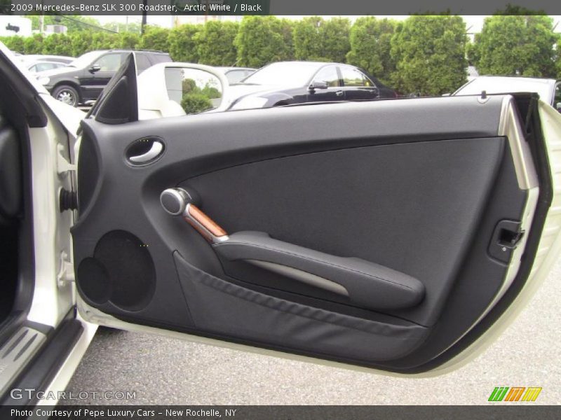 Door Panel of 2009 SLK 300 Roadster