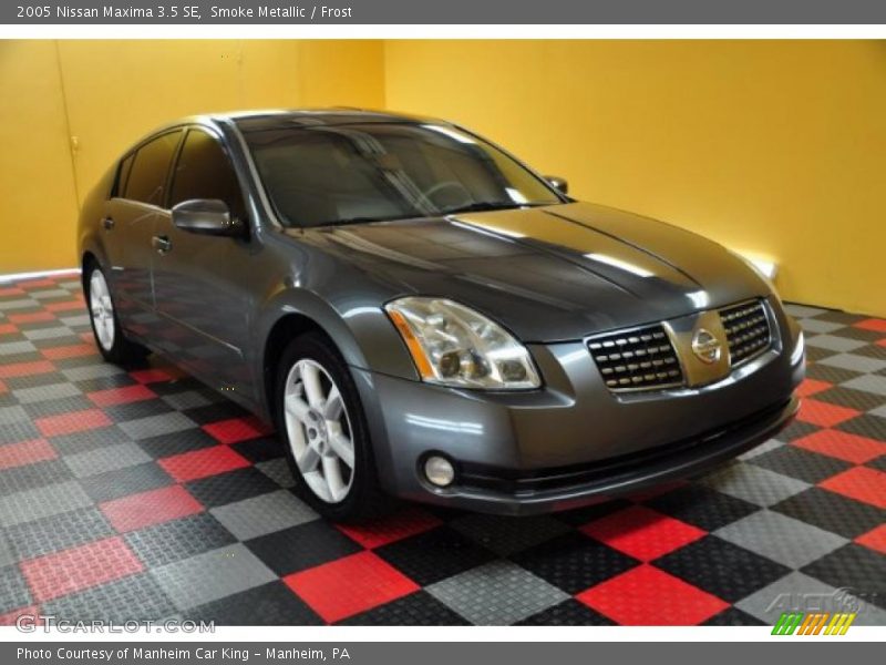 Smoke Metallic / Frost 2005 Nissan Maxima 3.5 SE