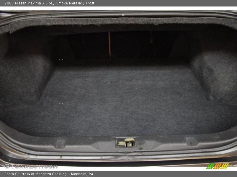 Smoke Metallic / Frost 2005 Nissan Maxima 3.5 SE